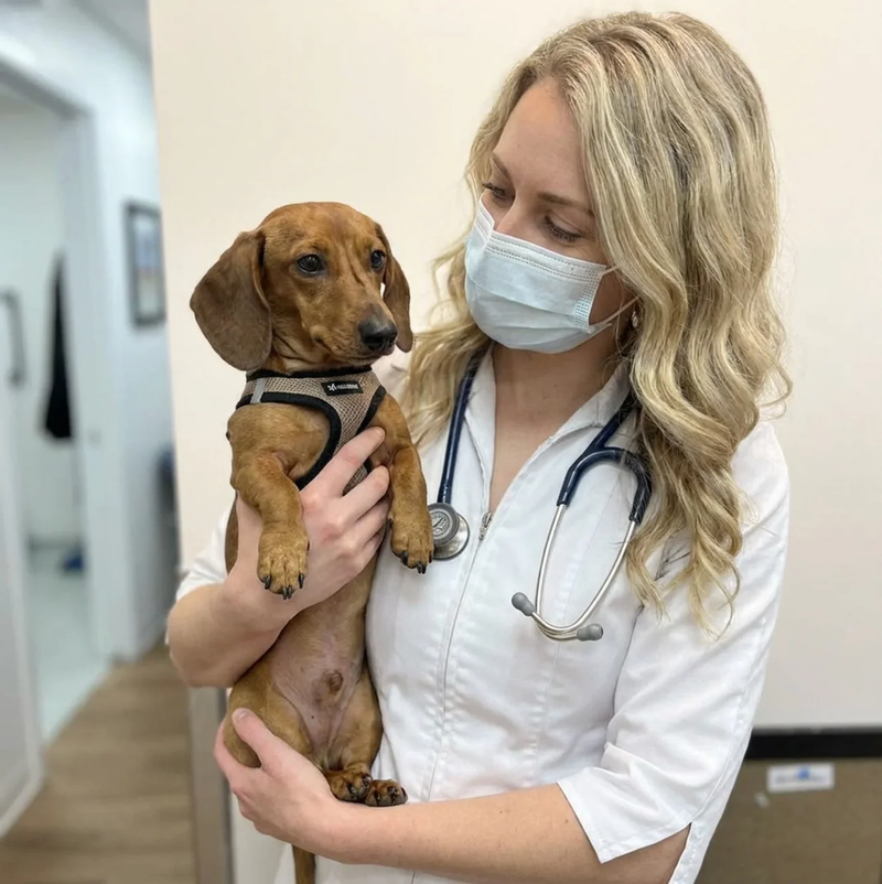 Dr. Vogt