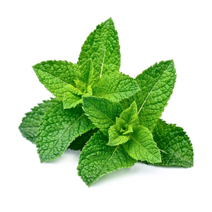 Peppermint