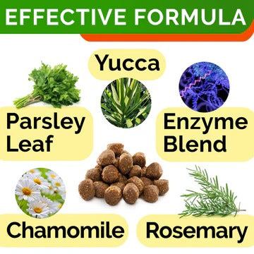 Stop Your Dog Eating Poop — No Poo Chews | Natural Enzyme Formula | Results in 2–4 Weeks