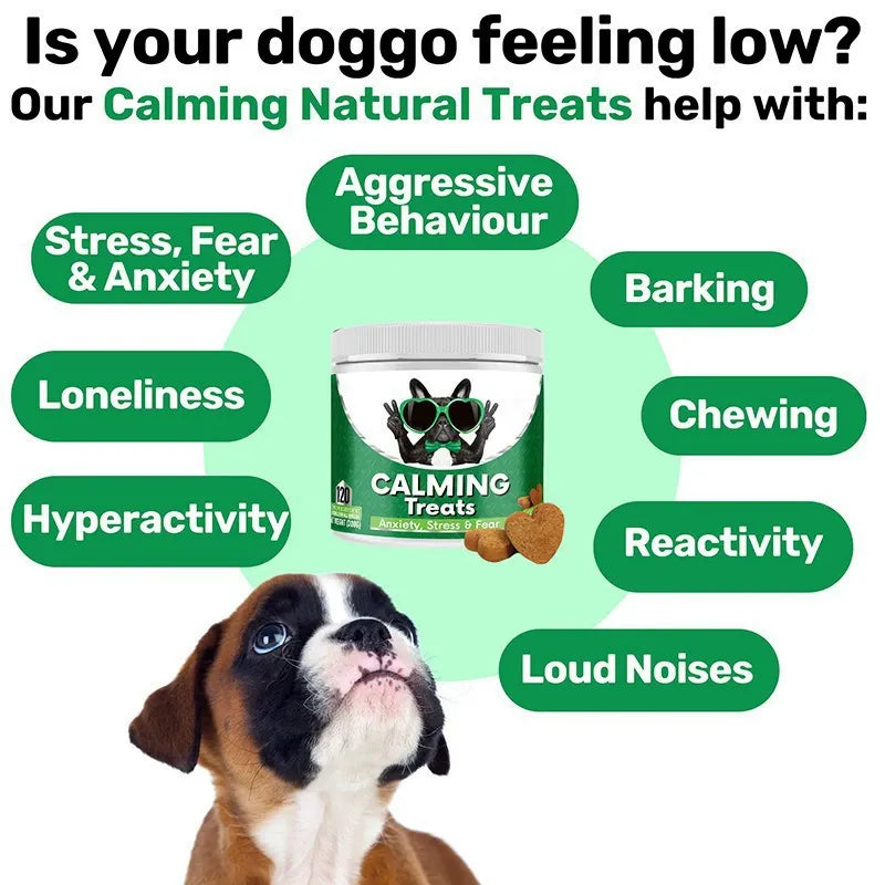 Pawzen 5-in-1 Dog Chews – Itch Relief, Immune Support, Skin & Coat, Allergy Care & Vitality, 120 Chews