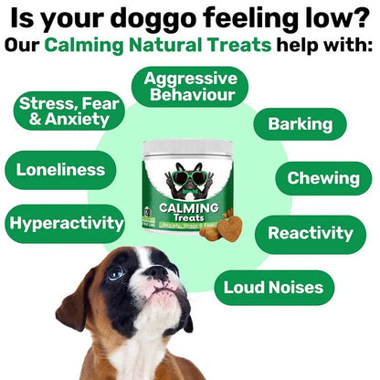 Vet-Formulated 5-in-1 Chews for Allergies, Coat & Immunity