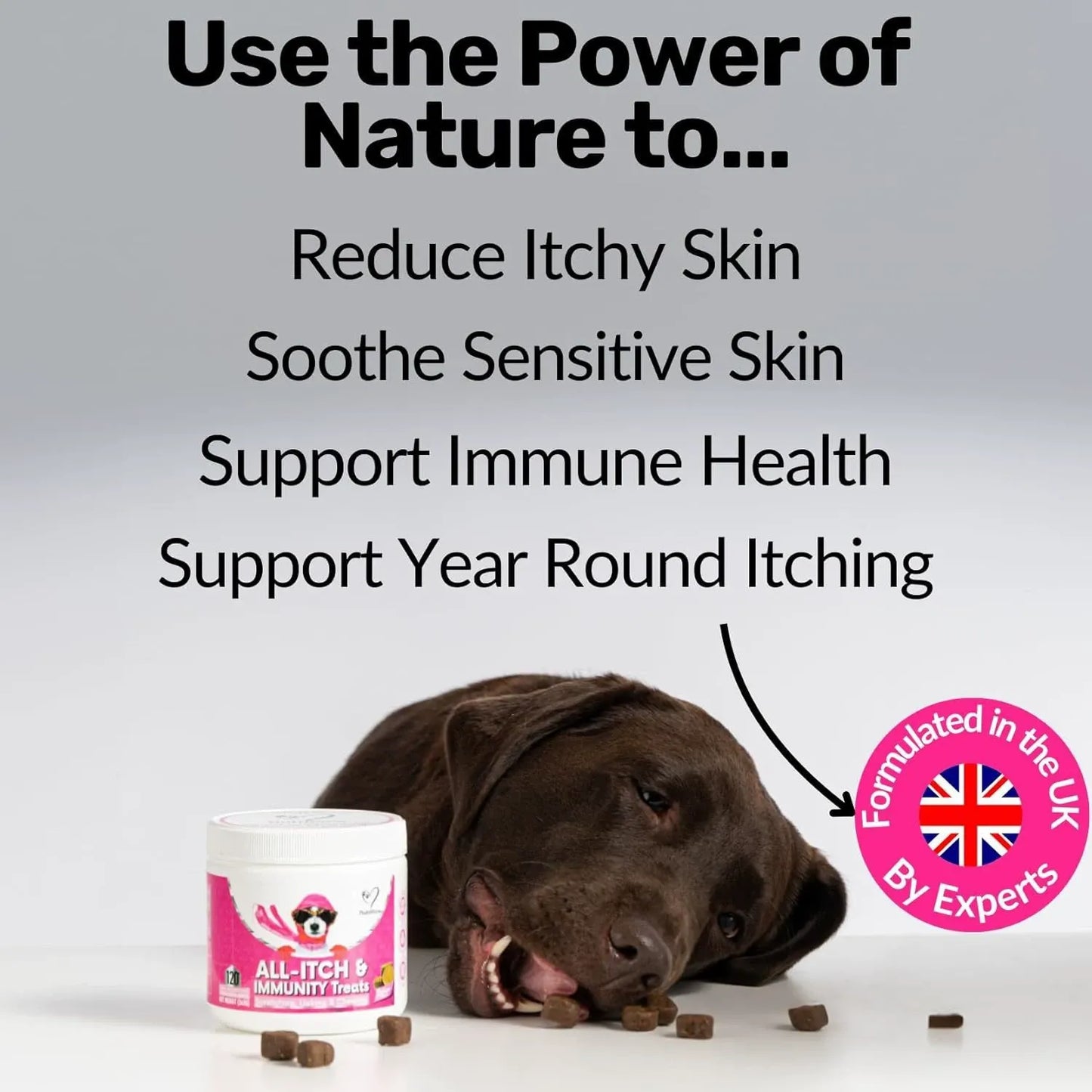 Pawzen 5-in-1 Dog Chews – Itch Relief, Immune Support, Skin & Coat, Allergy Care & Vitality, 120 Chews