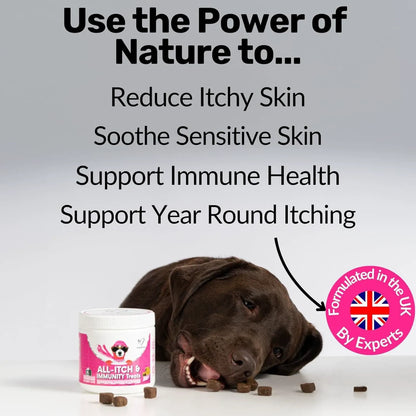 Pawzen 5-in-1 Dog Chews – Itch Relief, Immune Support, Skin & Coat, Allergy Care & Vitality, 120 Chews