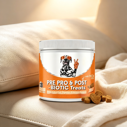 All-in-One Wellness Chews — Skin, Coat, Allergy & Vitality Support